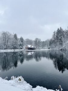 IMG_9495